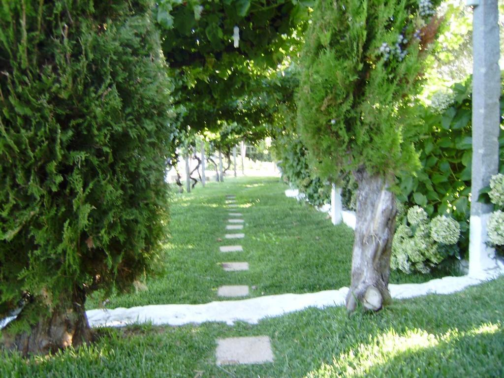 Turimenha Guest House Marvão Екстериор снимка